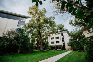 a tree in front of a white building at St Catherine's on Park in Perth