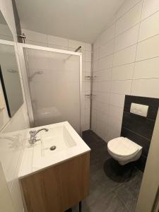 a bathroom with a sink and a toilet at B&B Chili Hoeve in Wanroij +12 photos