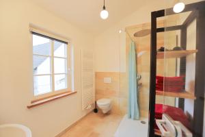 a bathroom with a shower and a toilet and a window at Nengshof Ferienapartment Vergissmeinnicht in Wißmannsdorf