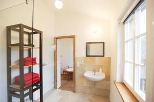 a bathroom with a sink and a shower and a sinkessment at Nengshof Ferienapartment Vergissmeinnicht in Wißmannsdorf