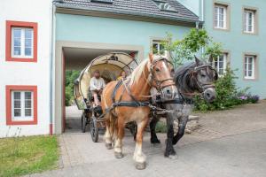 two horses pulling a carriage in front of a house at Nengshof Ferienapartment Vergissmeinnicht in Wißmannsdorf +17 photos
