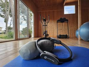 a gym with an exercise ball on a blue rug at La Casa Delviga in Olivella