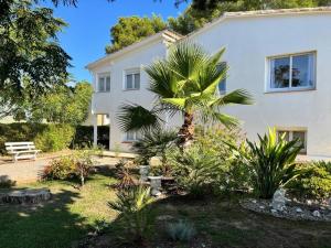 a palm tree in front of a white house at La Casa Delviga in Olivella