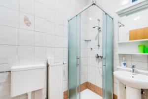 a bathroom with a shower and a sink at Apartments Rombon Klavdij with Free Onsite Parking in Bovec