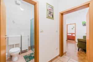 a bathroom with a toilet and a mirror at Apartments Rombon Klavdij with Free Onsite Parking in Bovec