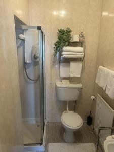 a bathroom with a toilet and a shower with towels at Dacara Bed & Breakfast in Newcastle +16 photos