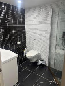 a bathroom with a toilet and a sink and a shower at Studio Ranch Johanna in Kullavik