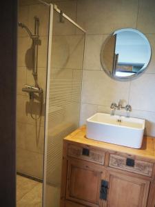 a bathroom with a sink and a shower with a mirror at Molesicht en Lânsicht in Workum