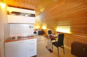 Kuchyň nebo kuchyňský kout v ubytování Apartments Zbraslav