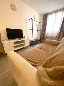 a living room with a tv and a couch at Studio confortable au centre de Manosque in Manosque