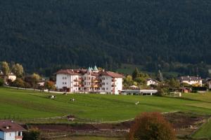 a large building in a green field with animals in the pasture at Hotel Rosa Resort in Cavareno