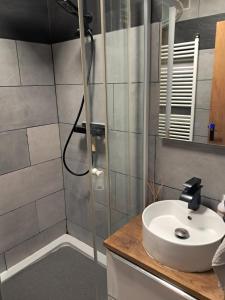 a bathroom with a sink and a shower at Chambres d'hôtes chez Peggy et Eric chambre indus in Équevillon +21 photos