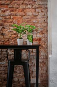 two plants on a table in front of a brick wall at Aayu Melayu - George Town Penang in George Town +32 photos
