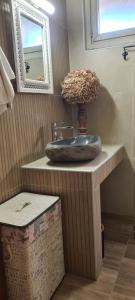 a bathroom with a sink and a plant on a shelf at Casa del mare in Paralia Katerinis +47 photos