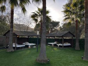 a pavilion with tables and palm trees in a park at CARIBBEAN Home in Montcada i Reixac