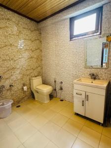 a bathroom with a toilet and a sink and a window at Aura Montane luxury cottages in Manāli