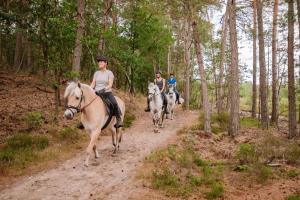 a group of people riding horses down a dirt road at Vakantiepark Samoza in Vierhouten