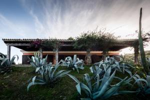 A garden outside Casa Alvarianes