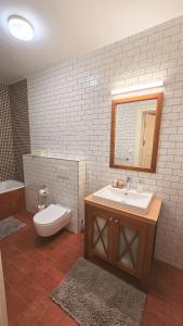 a bathroom with a sink and a toilet and a mirror at RZĄDCÓWKA Rogi in Lubniewice +14 photos