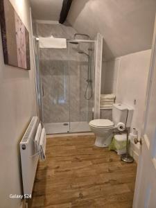 a bathroom with a shower and a toilet at Lavender Cottage in Hereford