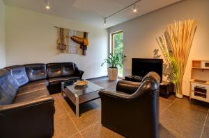 a living room with leather furniture and a flat screen tv at Apartmány U stezek in Lipova Lazne