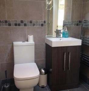 a bathroom with a toilet and a sink at Mill Cottage in Malpas