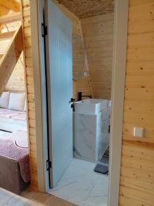 a bathroom with a toilet and a sink in a room at Kolsai Star House in Saty