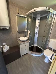 a bathroom with a shower and a sink and a toilet at Apartma Hisa konj in Pernica