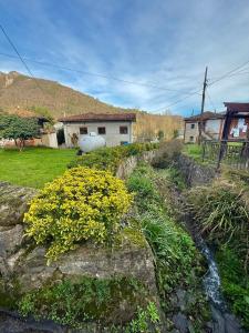 a yard with a house and some yellow flowers at Casita Loredo in Mieres
