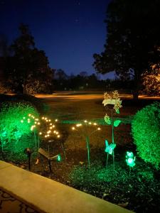 a garden with green lights in a yard at night at First Class Treatment Luxurious end unit Patio Pool Restaurant Bar on premises Steps away from Everything else! Spacious Condo Stocked with all You Need! in Myrtle Beach