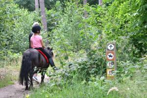 a young girl riding a horse on a trail at Vakantiepark Ommerland in Ommen +14 photos