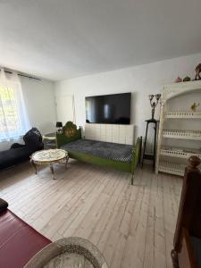 a living room with a couch and a flat screen tv at Ferienwohnung Sieg in Mittelhof