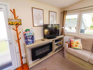 a living room with a television and a couch at Sunflower Retreat, Caravan 61 in Morpeth