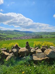 a pile of rocks in a grassy field at Ferienwohnung Lodge 13 in Ehrenberg