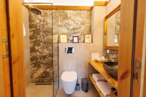 a bathroom with a shower and a toilet and a sink at Villa Sofayla w Jacuzzi near the Pirin Golf Resort in Bansko