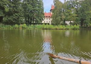 a house in the middle of a lake with a log in the water at RZĄDCÓWKA Rogi in Lubniewice