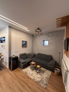a living room with a couch and a table at Norderney Apartments in Sibiu