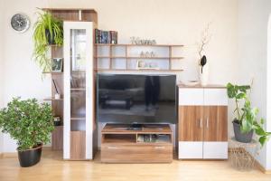a living room with a tv and a book shelf at Ferienwohnung Czampiel in Havelberg
