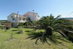 a palm tree in front of a house at Rooms Milica in Palit