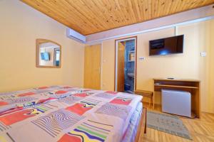 a bedroom with a bed and a television on a wall at Rooms Milica in Palit +10 photos