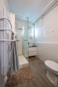 a bathroom with a toilet and a glass shower at Maison au cœur de Saumur Cour privée Parking gratuit Wi-Fi in Saumur +12 photos