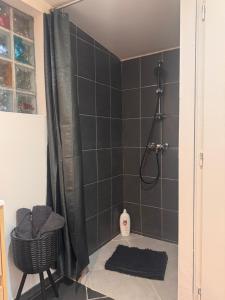 a bathroom with a shower with a black tiled wall at Eaunes au Soleil in Eaunes +5 photos