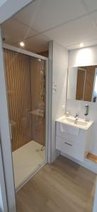 a bathroom with a shower and a sink at The Originals Access, Hôtel Le Lutéa in Riom-ès-Montagnes +46 photos