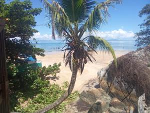 a palm tree on a sandy beach near the ocean at Maison typique Madagascar in Anjiabe