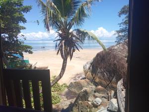 a view of a beach with a palm tree at Maison typique Madagascar in Anjiabe