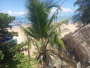 a palm tree sitting on top of a sandy beach at Maison typique Madagascar in Anjiabe +10 photos