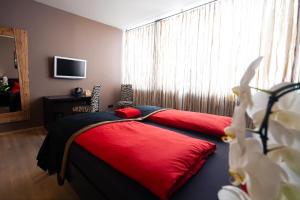 TV a/nebo společenská místnost v ubytování Hotel Quers Inn + 26 fotografií