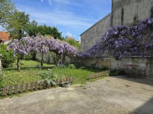 a garden with purple flowers hanging from a wall at La Grande Glycine in Coulommiers