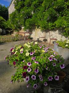 a bunch of flowers in a pot in a yard at La Grande Glycine in Coulommiers