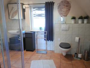 a bathroom with a toilet and a sink at Ferienwohnung Baumann in Schwarzenberg +38 photos